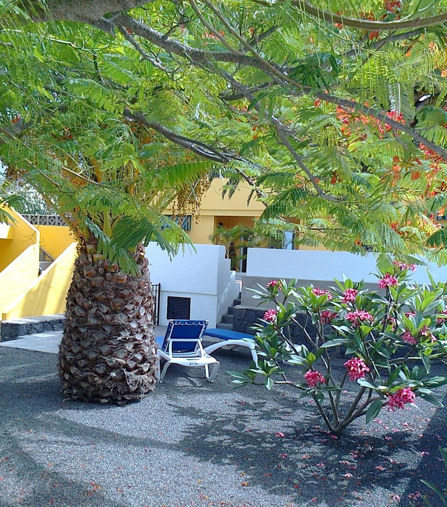 Vv Complejo Vacacional Villamaria Los Llanos De Aridane Esterno foto