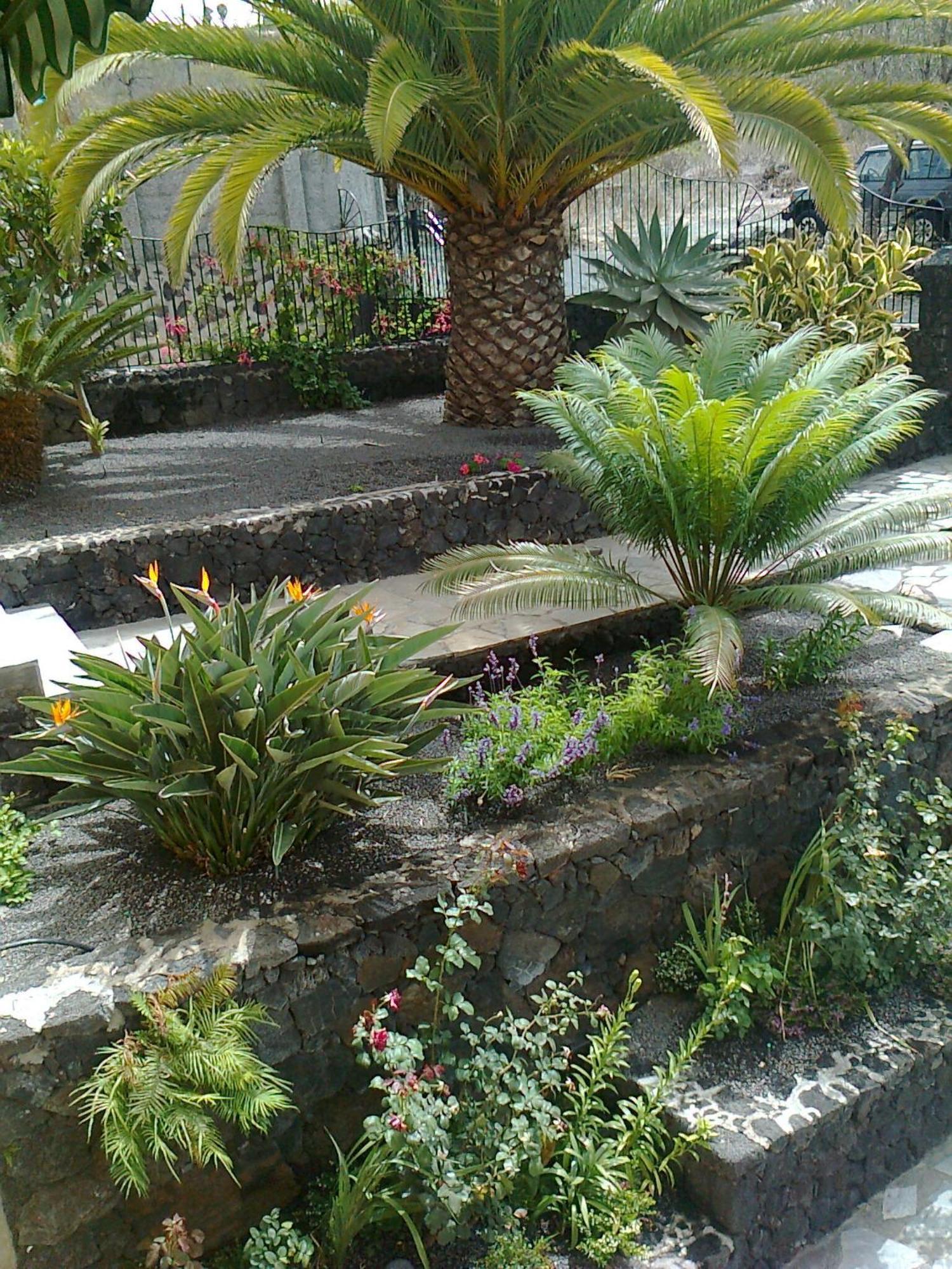 Vv Complejo Vacacional Villamaria Los Llanos De Aridane Esterno foto